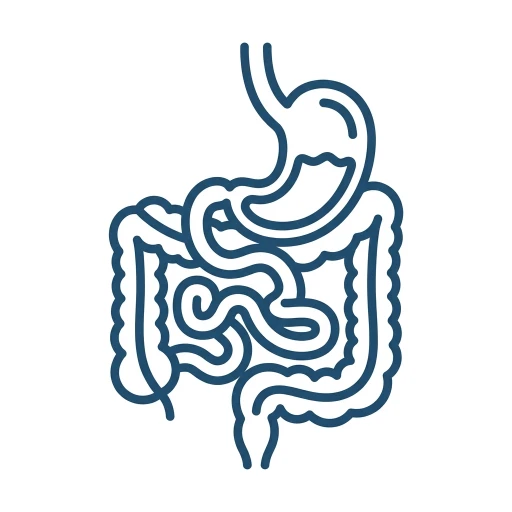 Gastroenterology